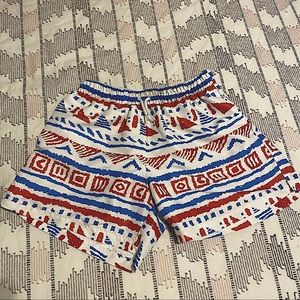 Men’s Chubbies Swim Shorts
